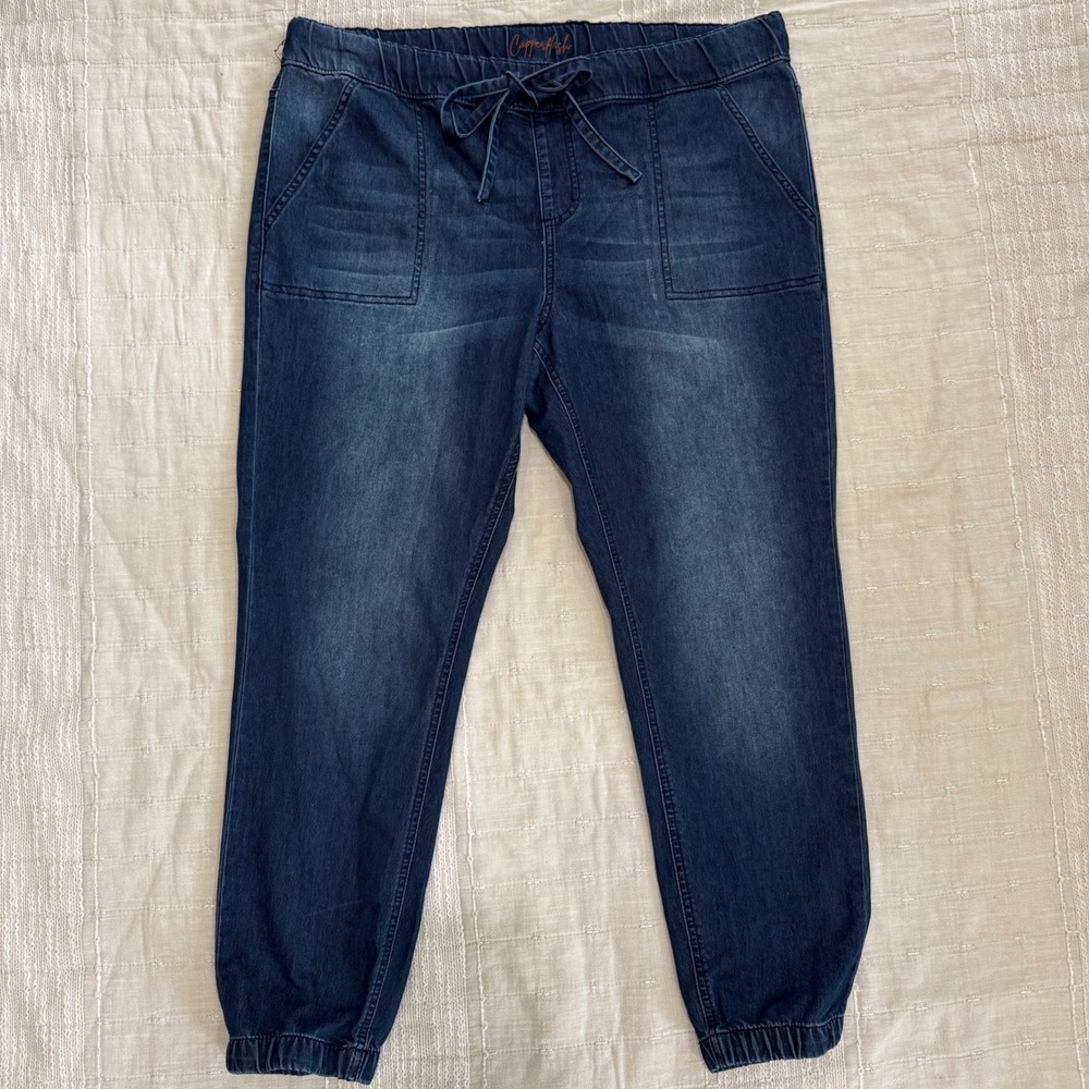 Copperflash Womens Mid Rise Jogger Jeans Size 16 Dark Wash Stretch 37x26 Tapered